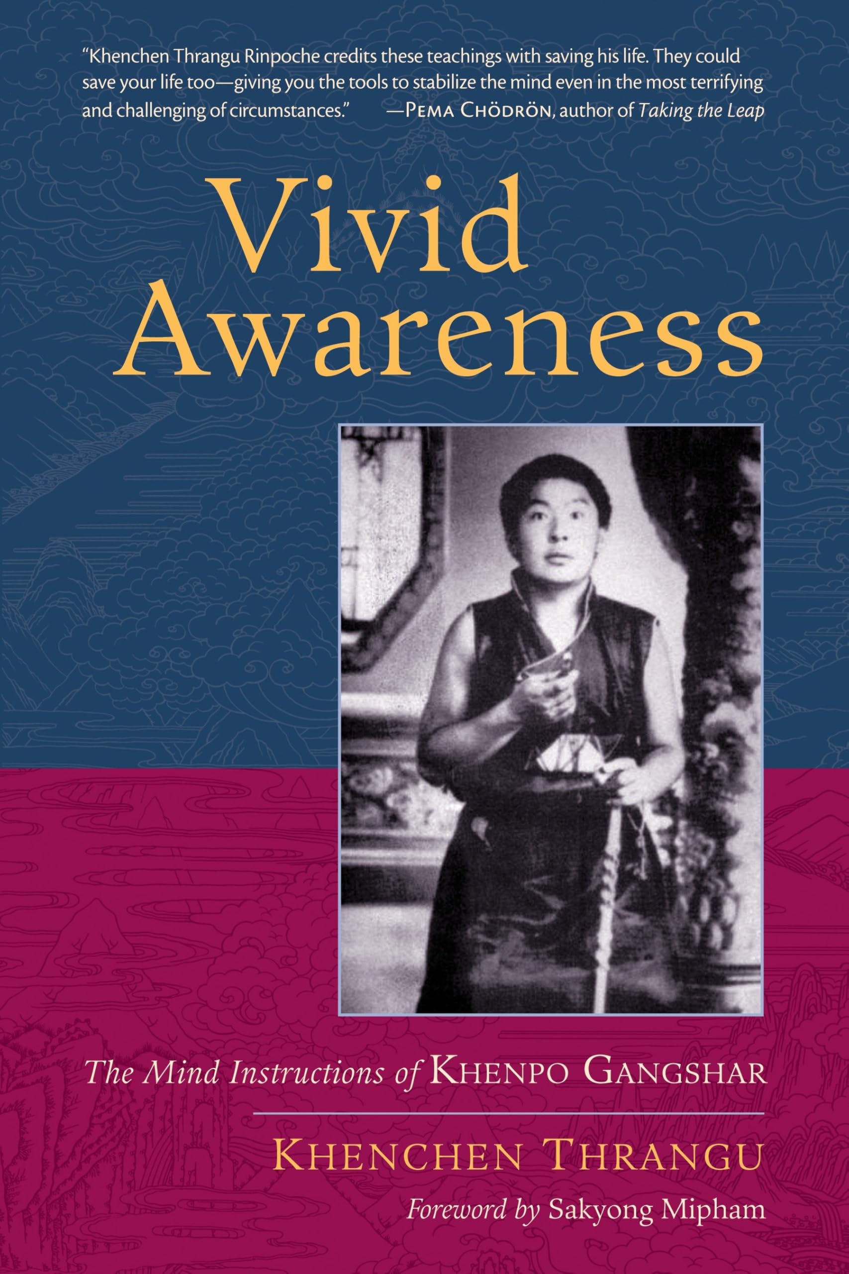 Vivid Awareness by Khenchen Thrangu, Sakyong Mipham - 9781590308165