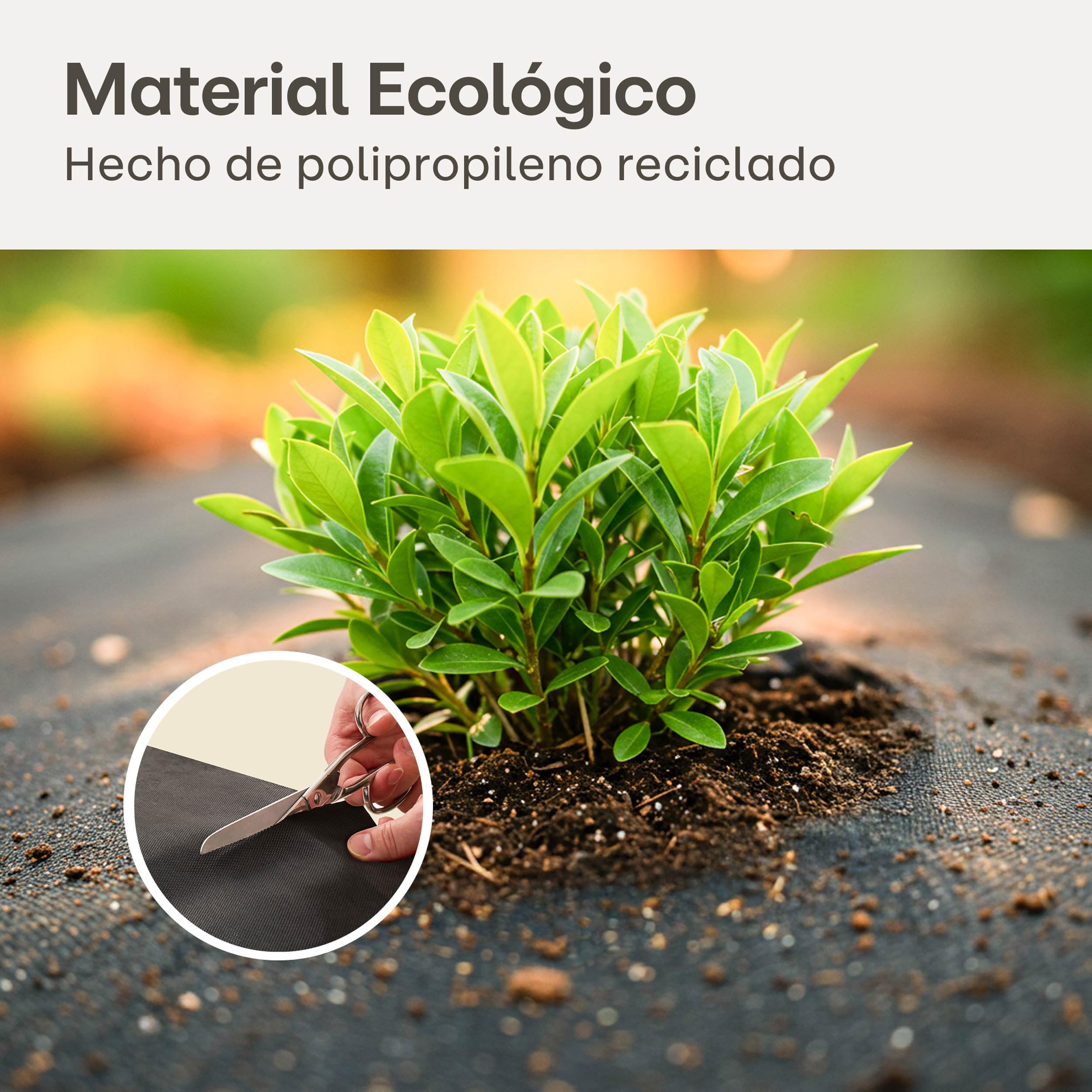 Praknu Malla Antihierbas Geotextil 150g/m² con 12 Anclajes – Extra Resistente & Antidesgarros – 25m² Malla para Mulching & Control de Maleza – Ideal para Caminos, Grava & Jardines de Piedra