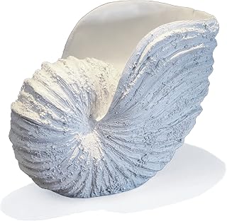 HueyHouse Nautilus Shell Sculpture - Rustic White Resin Coastal Seashell Decor, 10¼" x 6" x 8" Beach Ocean Replica, Gift-Boxed Shelf Accent