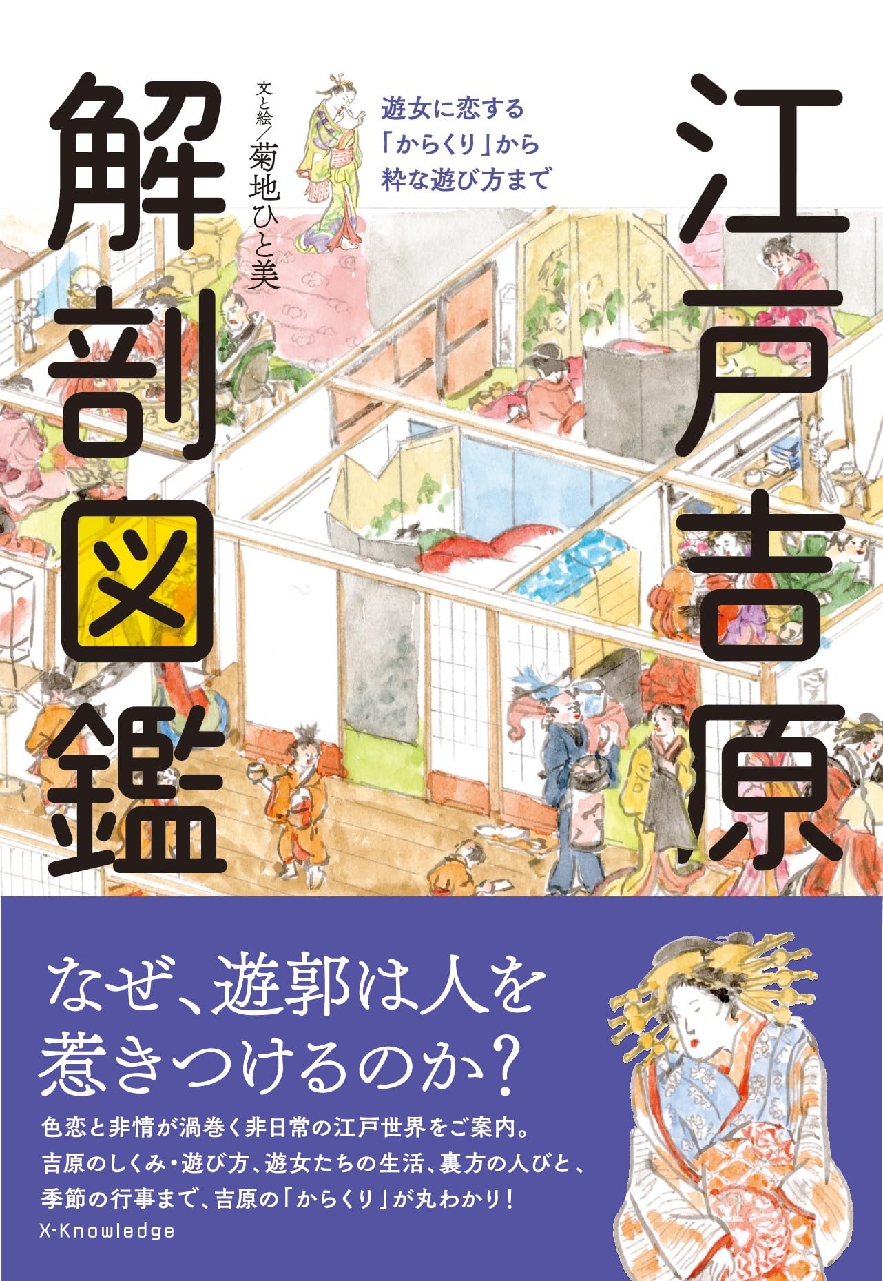 古書　江戸時代教養書（木版画挿絵入り百科事典) 図入り解説書　貴重和本 江戸吉原 解剖図鑑 | 菊地 ひと美 |本 | 通販 | Amazon