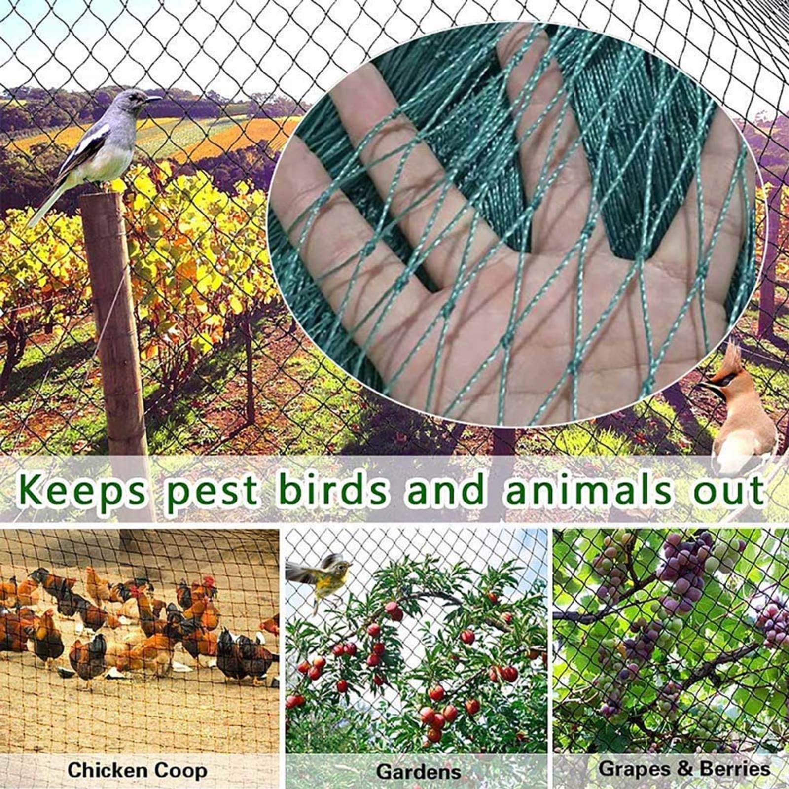 Rete per insetti a maglie strette， Garden Trellis Bird Netting 15mm Mesh Green Multiple Sizes(10x15m)