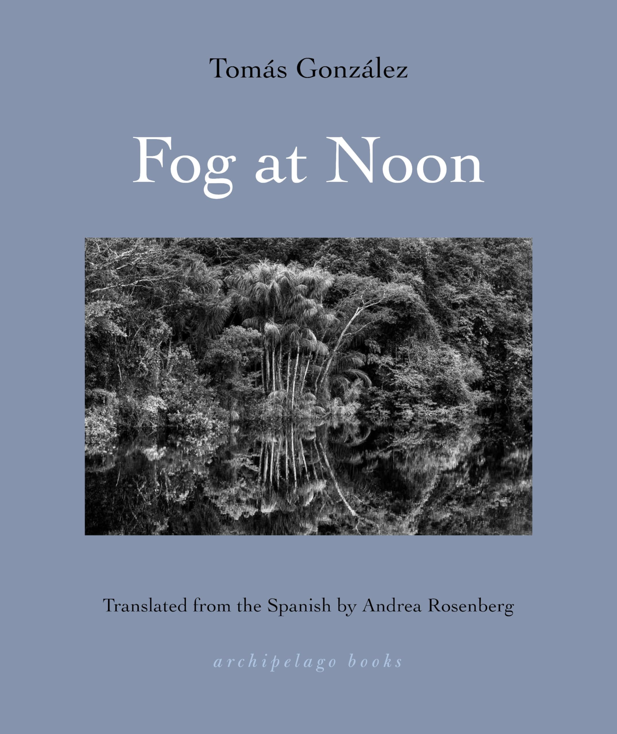 Buy Fog at Noon — BookShops.in
