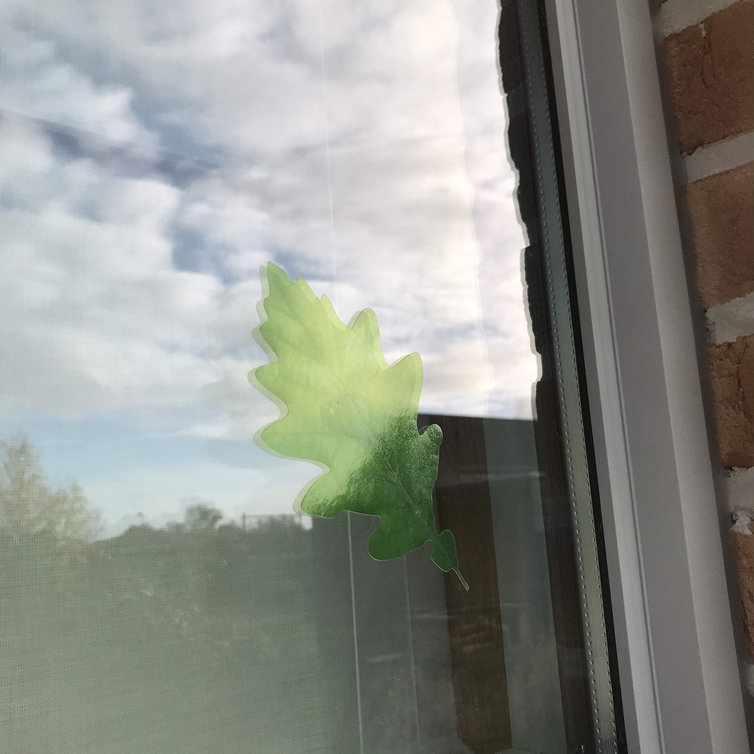Set di 18 Adesivi a Forma di Foglie di Albero per Ogni Superficie, Decorati su pareti, prevenendo Colpi di Bambini e Uccelli sulla Finestra - Traslucidi - 3X