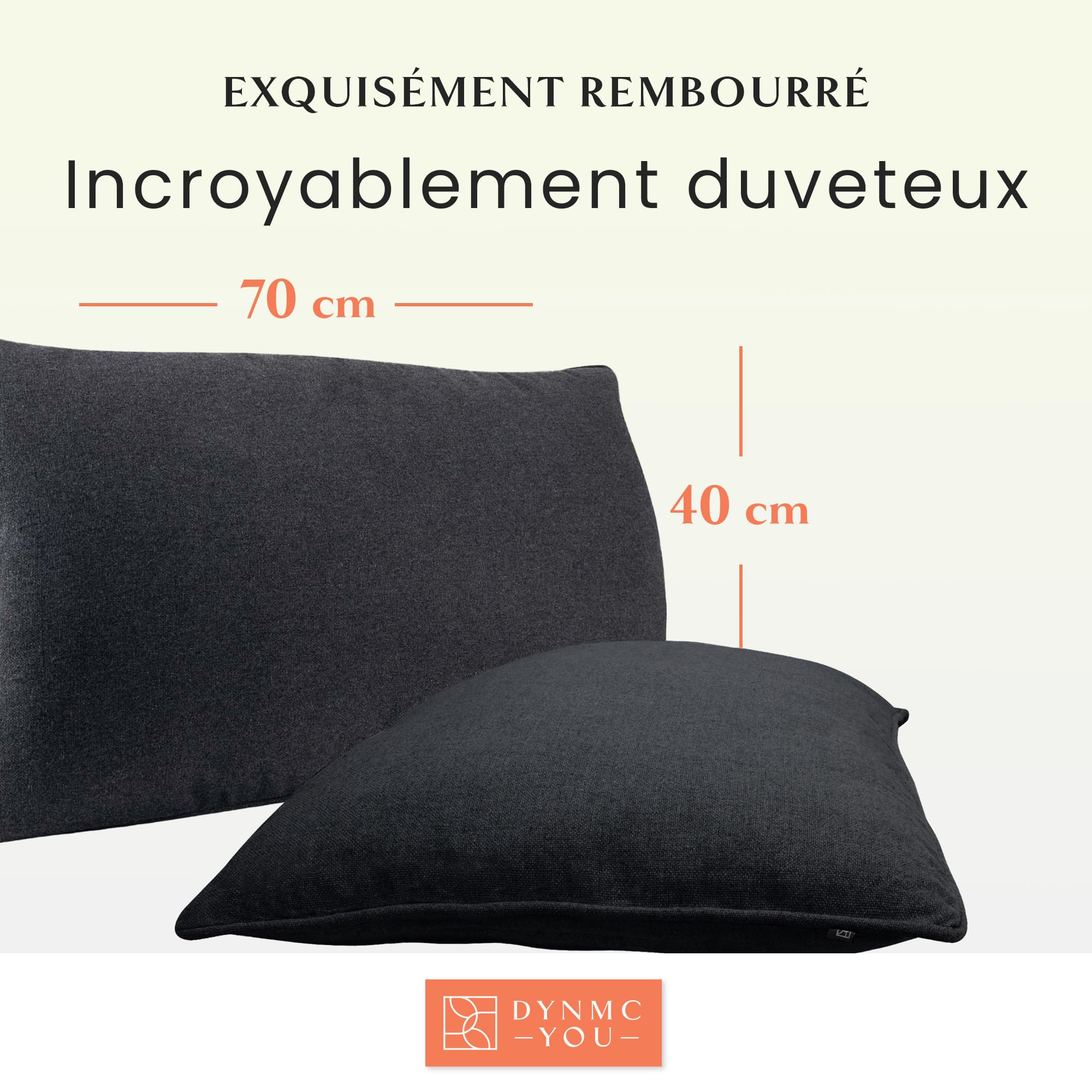 DYNMC you Ensemble de Coussins de canapé 40x70, Housse en Coton Oeko-TEX - Coussins décoratifs avec Rembourrage moyennement Dur - Gros Coussin de canapé, qualité supérieure (Anthracite, 40 x 70)