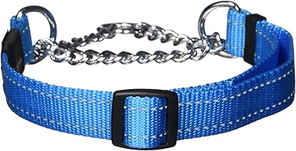 amazon dog choke collar