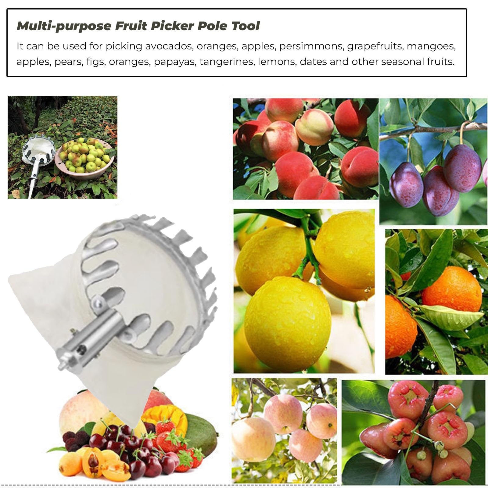 obstpflücker apfelpflücker Obstpflücker Werkzeug, 2.5 4 6 10 M Ausziehbare Stange Für Apfel-Orange-Zitrone-Birne-Pflücker Mit Korbtasche & Teleskopischer Langer Griff Rostfreier Stahl Obstpflücker/ Er