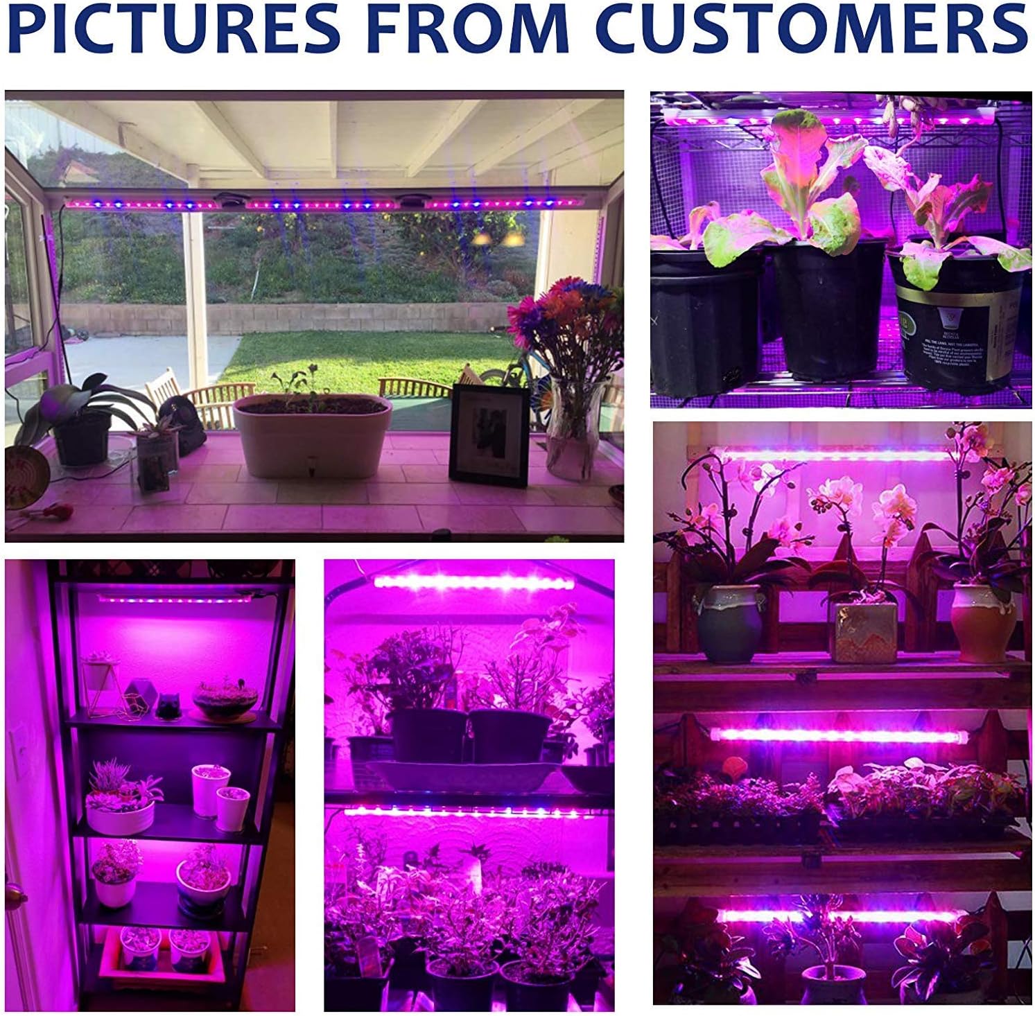 AMSUNS [4-Pack] 60W 24H Cycle Timing Auto On/Off 2 Working Times Each Day Grow Light Strips 3 Light Modes 5 Dimmable Brightness Yellow & Pink with Full Spectrum Sunlike Plant Light (40W)
