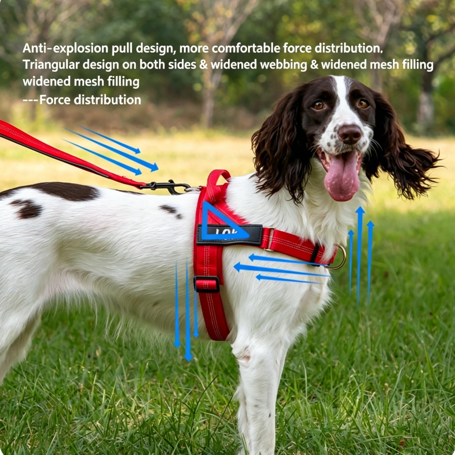 Arnés antitirones para Perros – Chaleco Ajustable con Clip Delantero, Material Transpirable Suave Acolchado, Anilla en D Resistente, asa Fuerte para Perros pequeños y Grandes,Latón,XL
