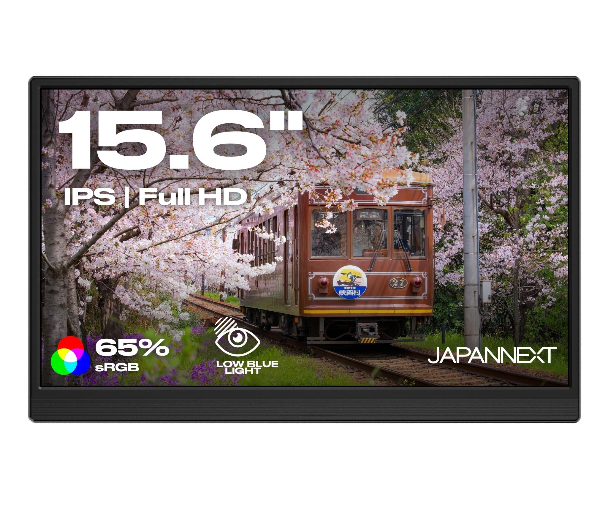 JAPANNEXT Ecran Portable 15.6" IPS Full HD (1920x1080)