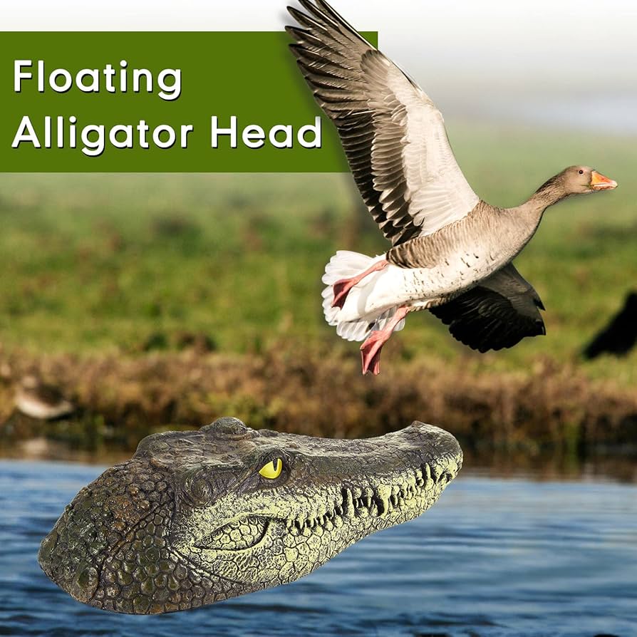 Naef　Alligator　プルトイ Naef Alligator プルトイ Crocodile Alligator Nile Crocodile