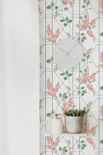 Miniatura 4 de Papel tapiz botánico para despegar y pegar, papel tapiz marrón de 16.1 x 78.7 pulgadas, papel tapiz floral extraíble, papel tapiz autoadhesivo