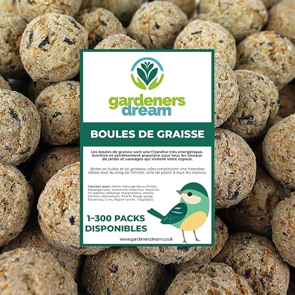 Boules de Graisse GardenersDream - Friandises énergétiques pour Oiseaux Sauvages (Paquet de 300) - 1