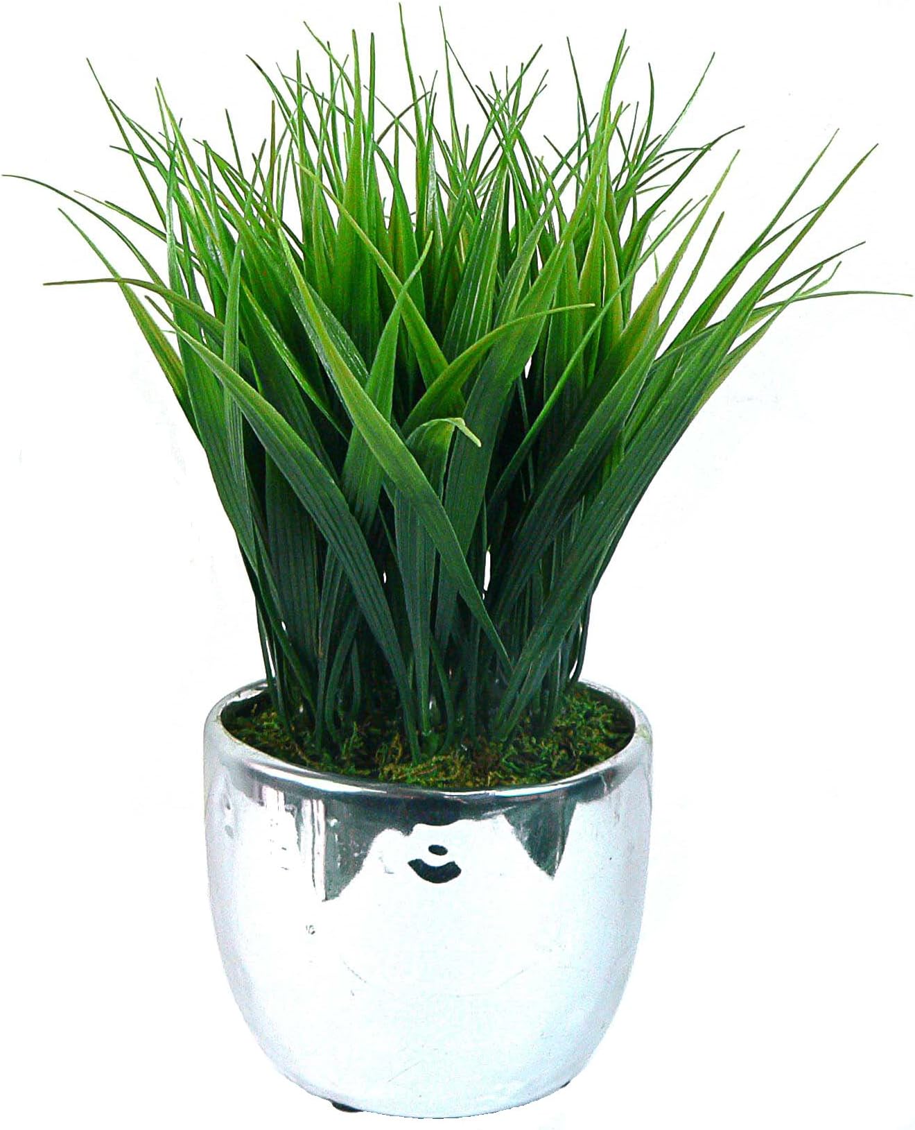 Vintage Home VHA100043.2PACK 11" Tall 2 Pack Grass in Designer Silver Ceramic (9x9x11) Tree