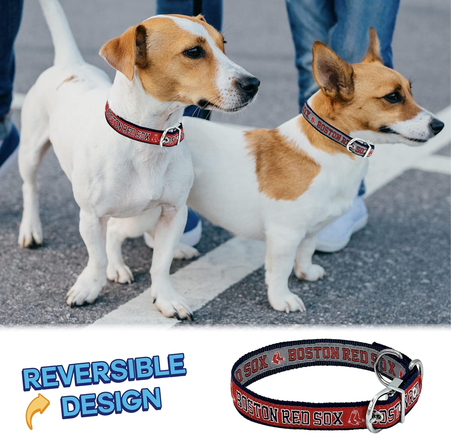 Boston RED SOX Reversible MLB Pet Collar, Medium Nigeria Ubuy