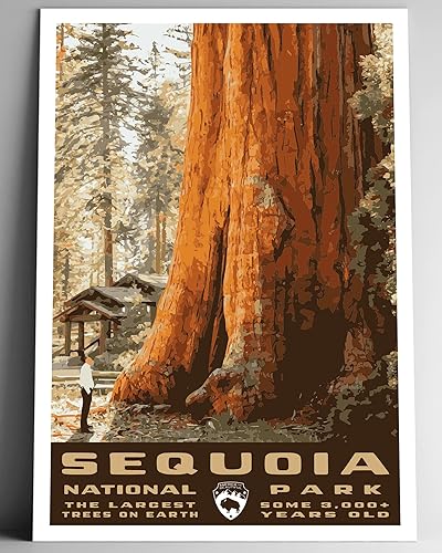 Sequoia National Park Vintage-Style Travel Poster - 8x10-12x18-18x24-24x36  4x6 Postcard WPA Style Art Print California USA (24x36 Inch Poster)