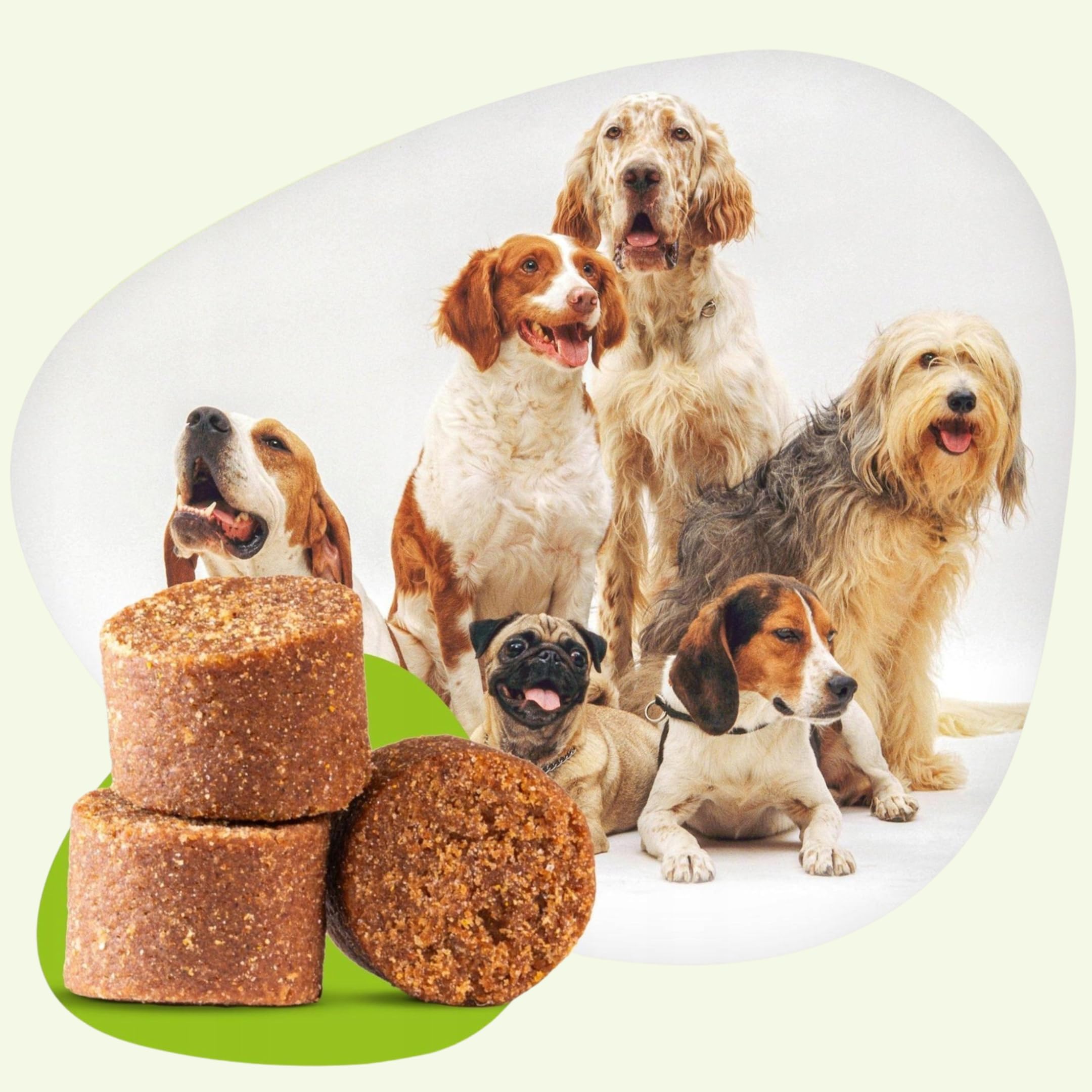 SwissVet Articulation Chien - 60 Friandises Glucosamine, Chondroïtine, MSM & Collagène - Soutien Mobilité, Arthrose & Douleurs - Vitamines C & E - pour Vieux Chiens & Chiots - Poil & Articulations
