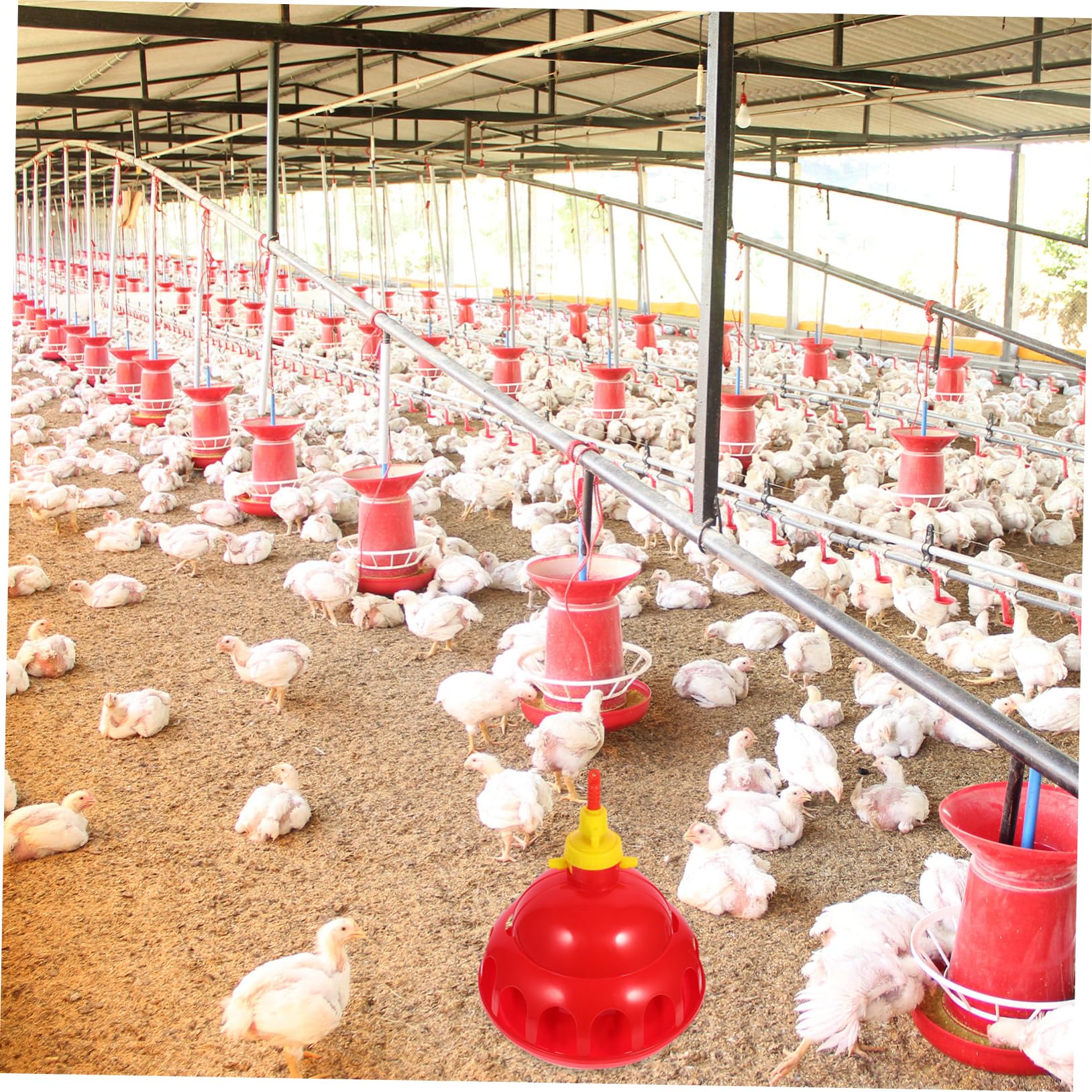 Abbeveratoio per Pollame Automatico in Pp Rosso per Quaglie e Galline | Beverini per Galline Automatico, Facile da Usare e Sicuro, per Fattoria e Negozio