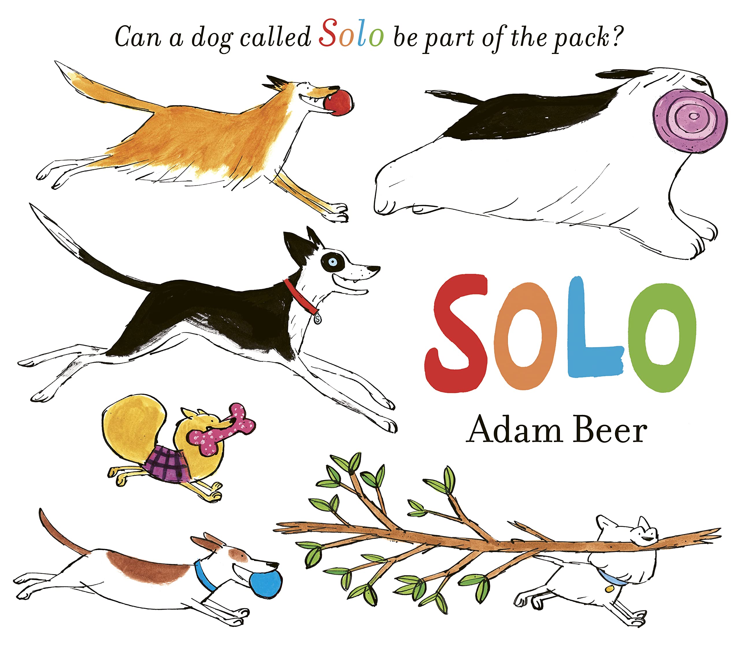 Solo Can a dog called Solo be part of the pack? by Adam Beer (Paperback Book)