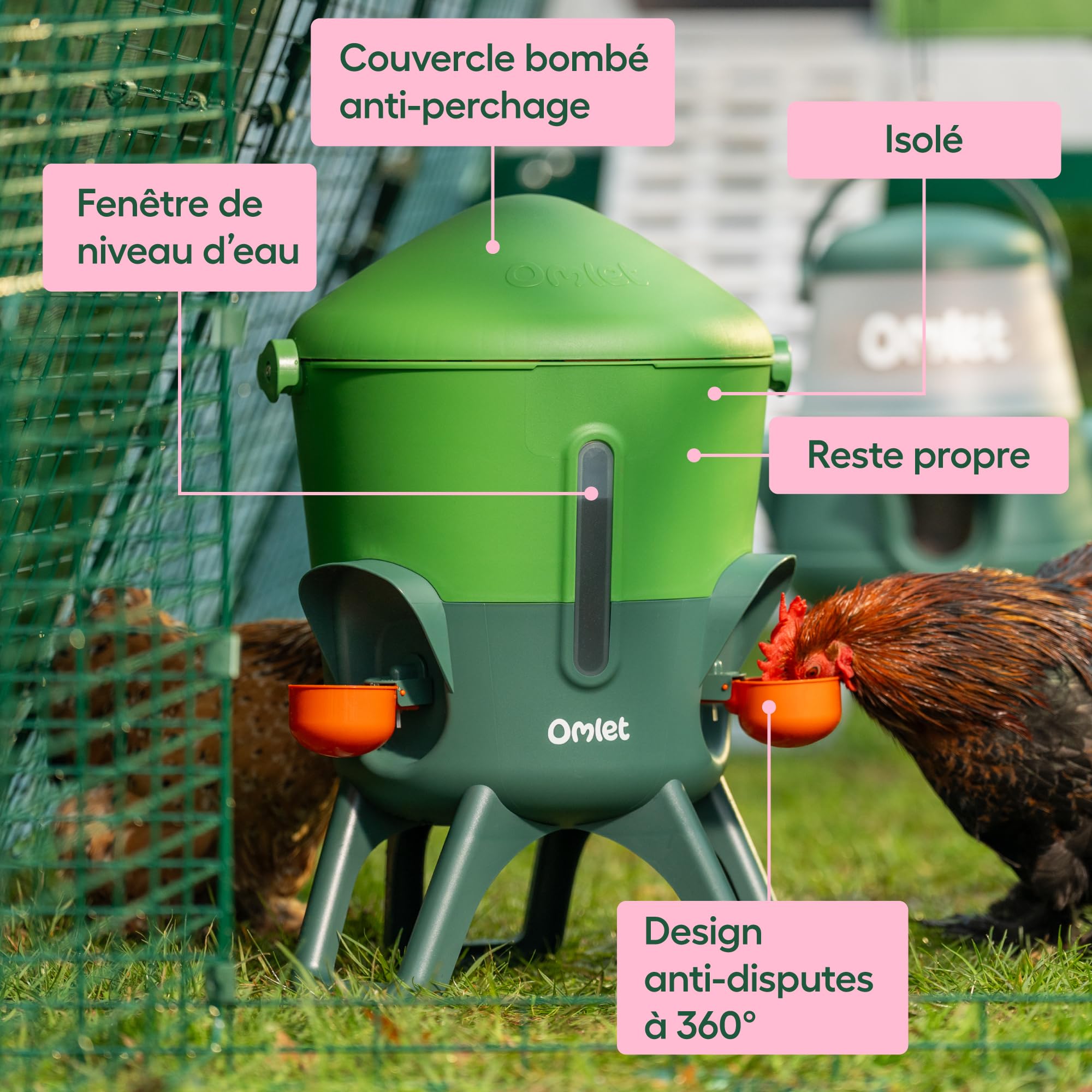 Omlet Abreuvoir isolé pour Poules 5.5 L | Eau Plus Propre Plus Longtemps | Distribution Automatique Hygiénique | Embouts Tasse et tétine Inclus | sans BPA | Vert Eglu