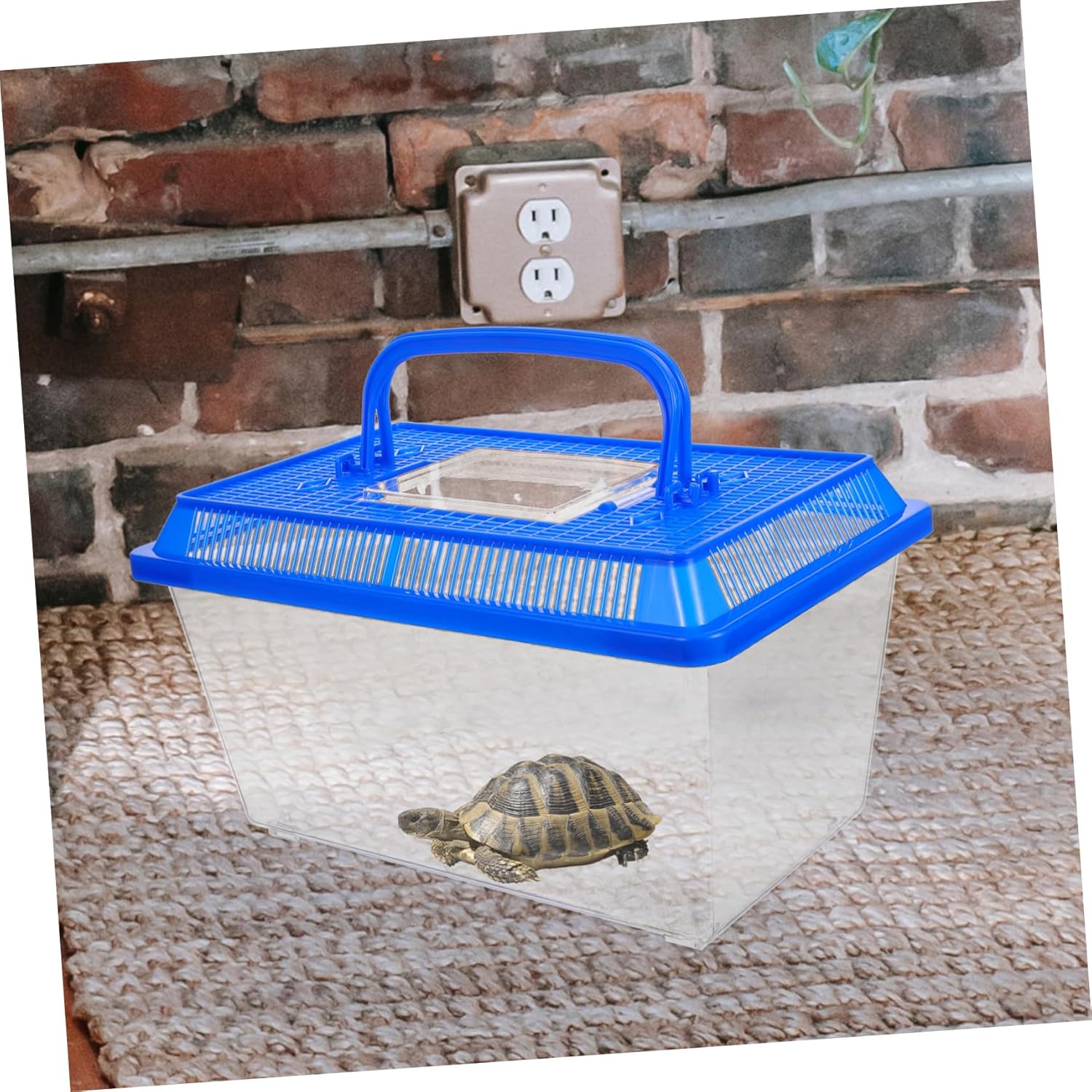 Creative Turtle Tank with Basking Platform Practical Turtle Aquarium Carrying Box Ideal for Reptiles and Amphibians
