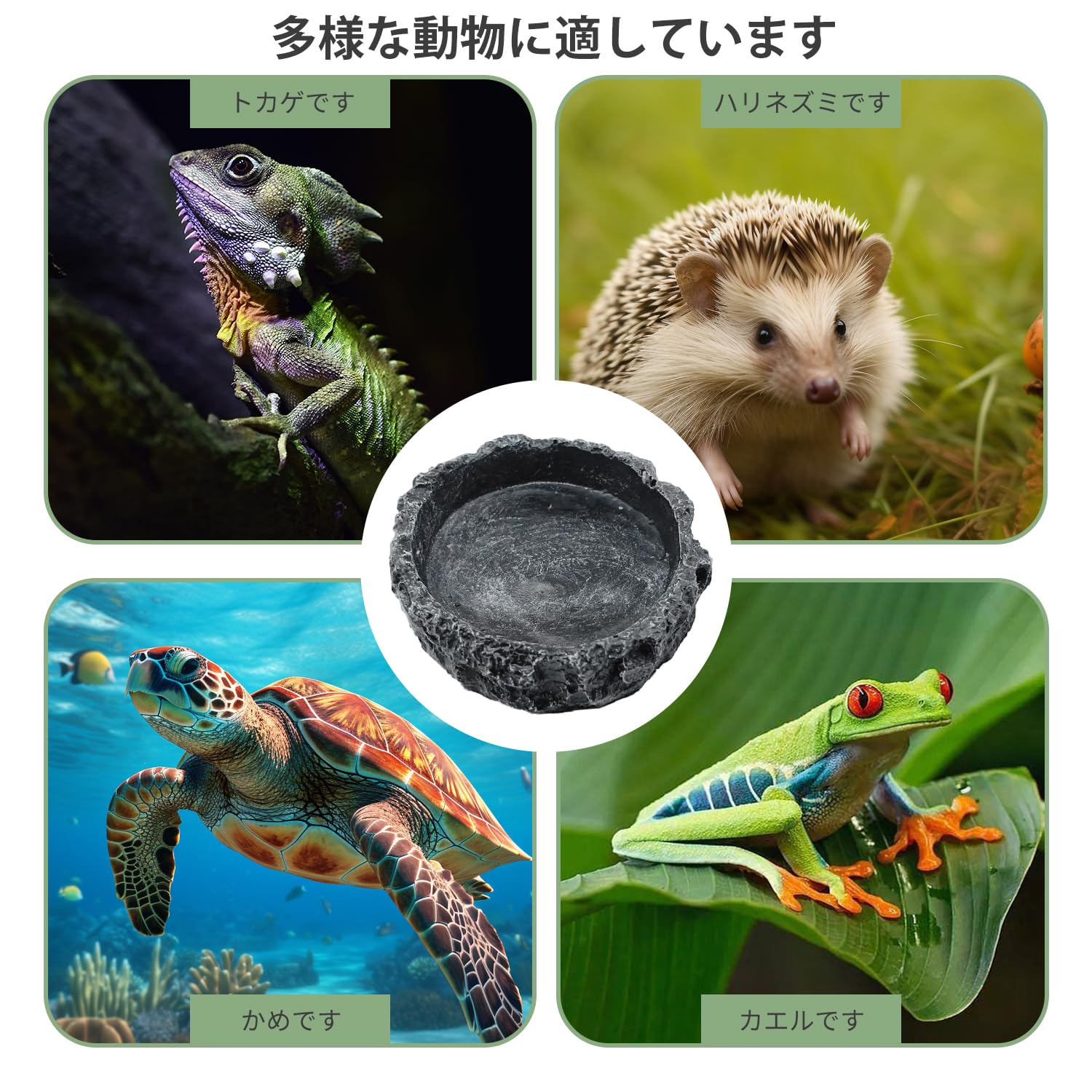 ぽん　爬虫類水入れ　10個セット Amazon | PAVIKE 爬虫類 水入れ 爬虫類 餌入れ 爬虫類用 水飲み