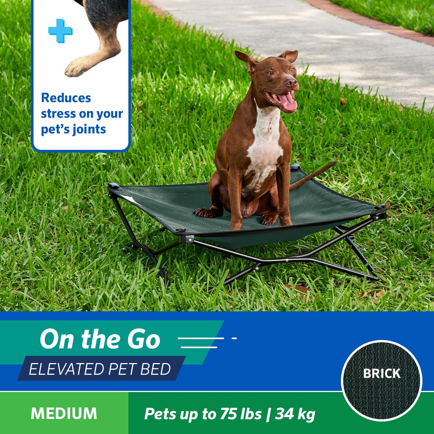Amazon | Coolaroo On The Go 冷却式犬用ベッド、旅行&キャンプに