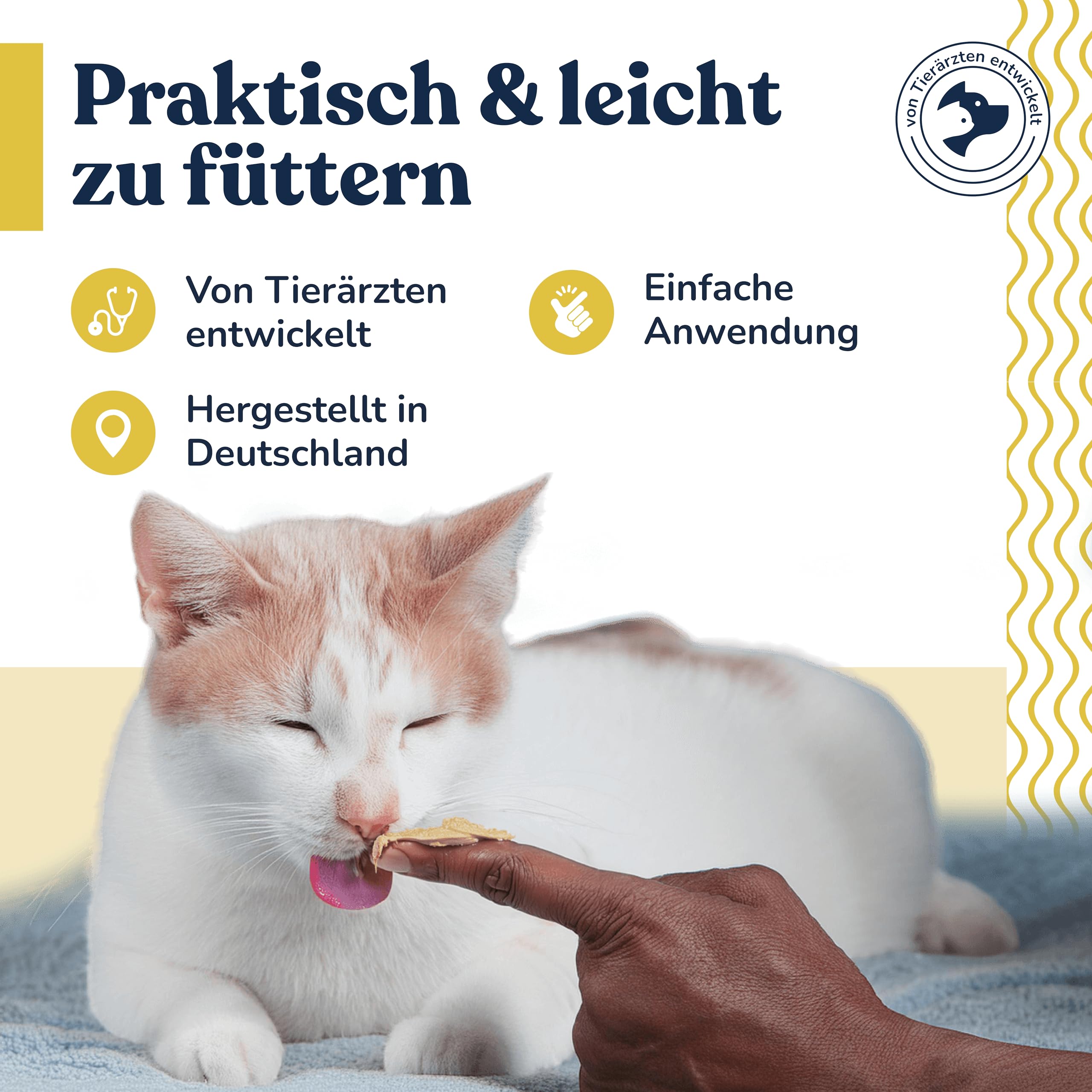 Felmo Pasta per vesciche e renali per gatti (100 g), supporto naturale per le vie urinarie grazie alla pasta funzionale per snack per gatti, per rafforzare il sistema immunitario e urinario. Adatto