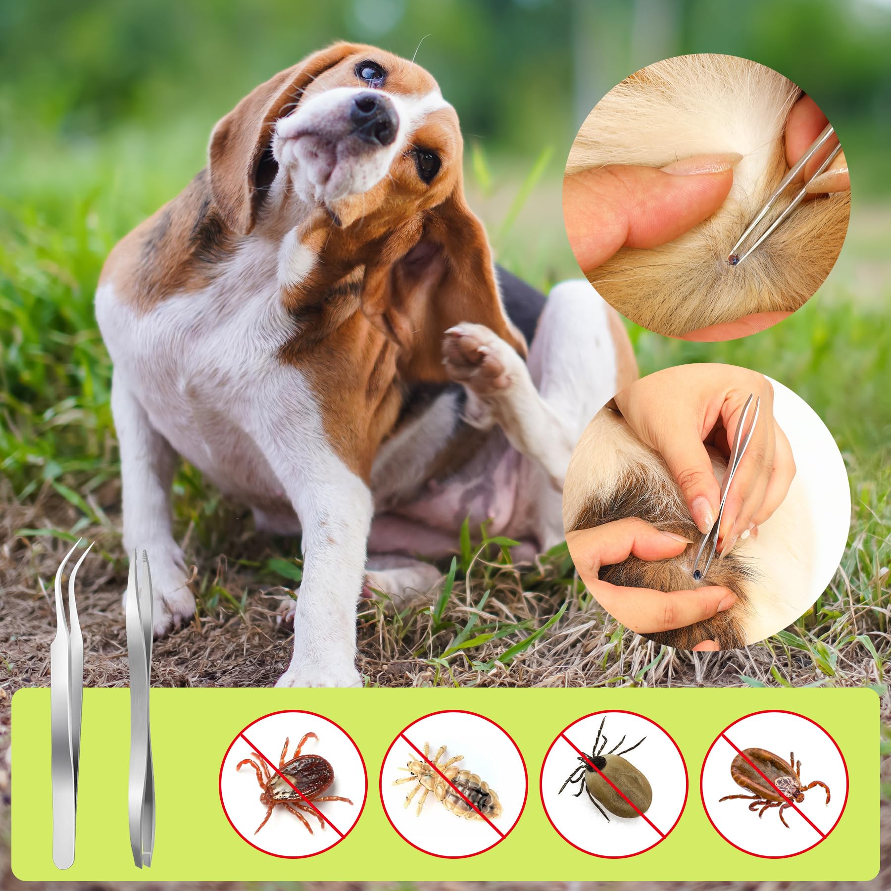 MELLIEX 5 Pièces Tire Tique, Pince à Tiques en Acier Inoxydable, Crochet Tiques en Plastique avec Sac de Rangement pour Chiens et Chats