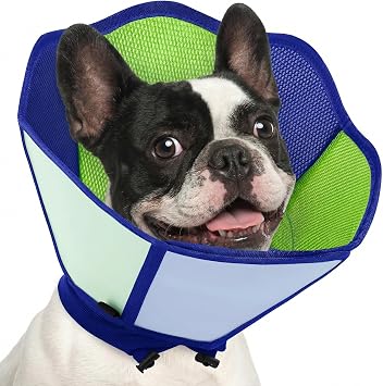 AOFITEE Dog Cone - Dog Cone Collar After Surgery