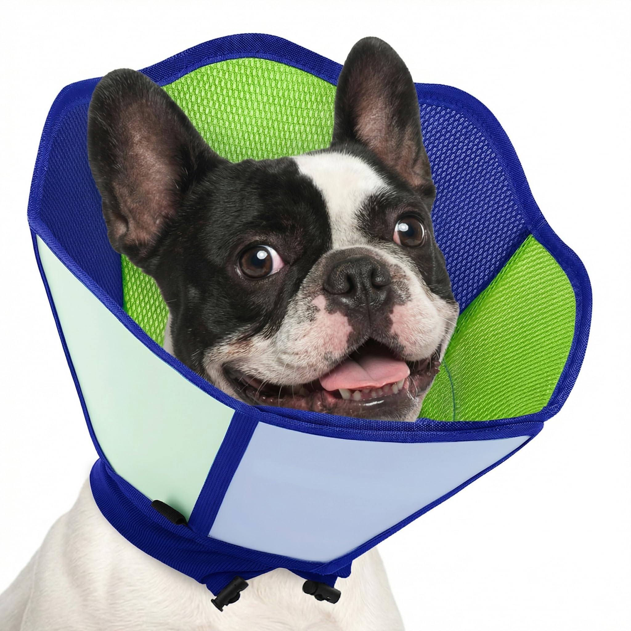 Cône souple pour chien AOFITEE anti-léchage efficace après chirurgie