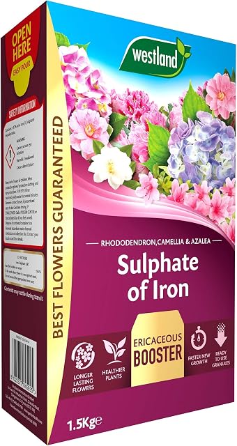 Westland 20600027 Sulphate of Iron Plant Food for Ericaceous Plants, 1.5 kg