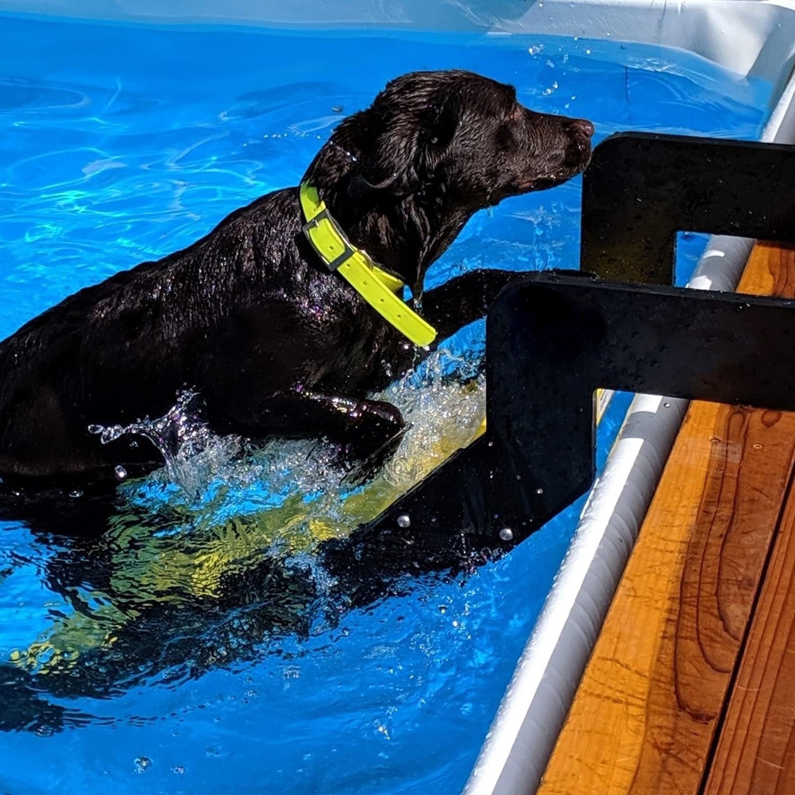 Dog Ladder for Swimming Pool