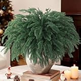 12 Pcs Christmas Norfolk Pine Stems,15