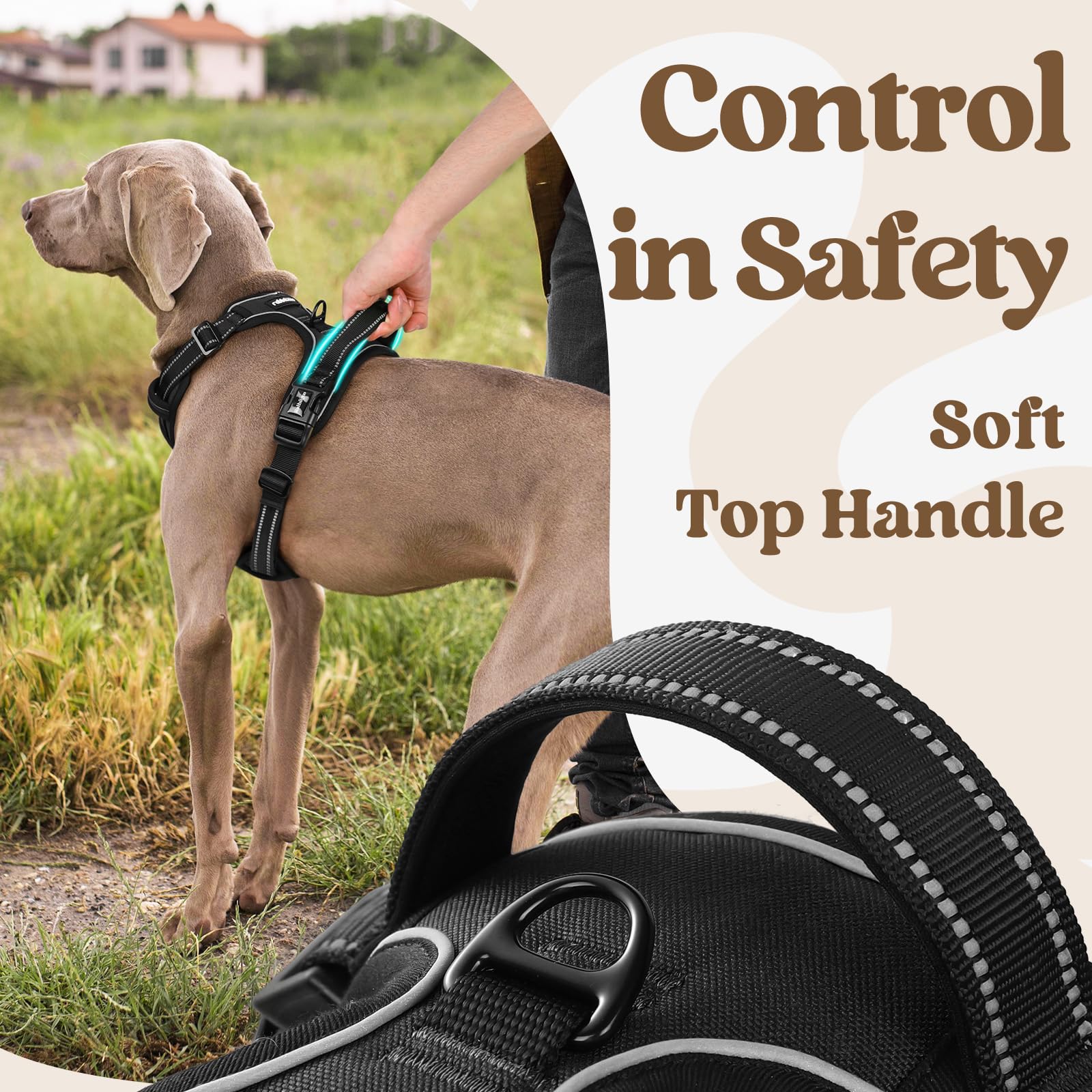 rabbitgoo Dog Harness Medium Sized, No Pull Pet Harness with 3 Buckles, Adjustable Soft Padded Vest with Control Handle, Walking Reflective Pet Vest for Medium Dogs, Black, M - image 5
