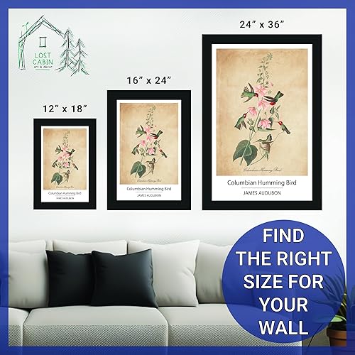 Vista 355 de Towee Bunting by James Audubon - Marco biselado negro de 12 x 16 pulgadas, decoración artística enmarcada para pared, reproducción de pinturas