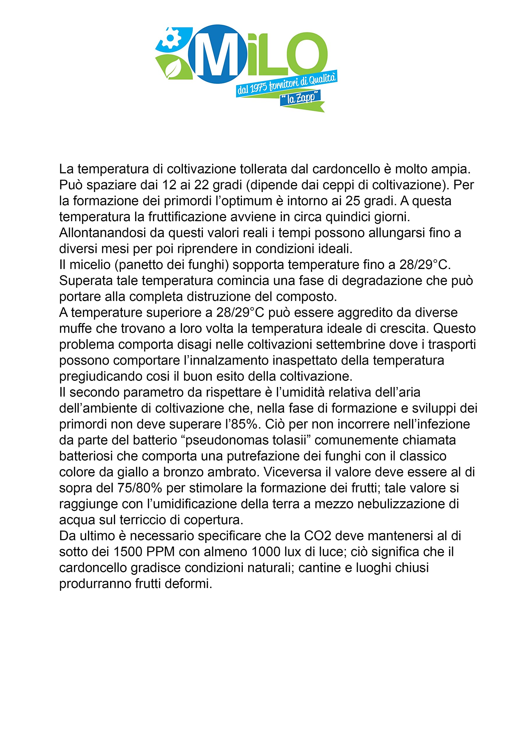 Balletta per la Produzione Professionale di Funghi Cardoncelli Pleurotus Eryngii Ideale per la Coltivazione del Fungo Cardoncello Pugliese Substrato e Ceppo (6)