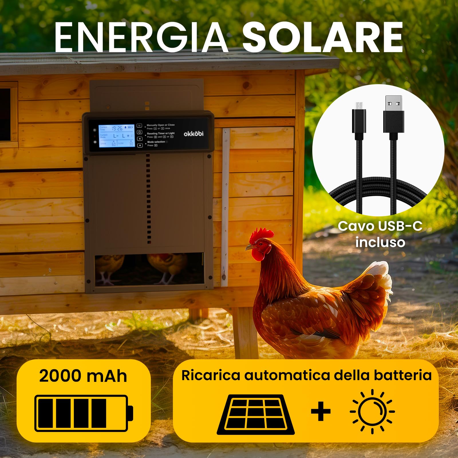 Okkobi Porta Automatica Pollaio Solare - Display LCD - Porta Pollaio con telecomando, Sensore di luce e Timer - Sicurezza e tranquillità: Funzione Antipizzicamento - Protezione di 5 anni