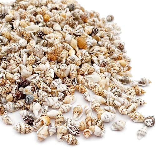 Miniatura 8 de LYFJXX Conchas de mar de Cay Cay Blancas para decoración del hogar, fiestas, bodas, manualidades de bricolaje (alrededor de 350 piezas en forma de