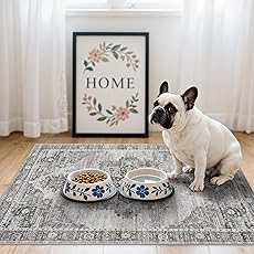 Living Room 2x5 Runner Rugs - Boho Rugs for Living Room Stain Resistant Carpet Vintage Tribal Rugs for Bedroom Kitchen Bathroom with Non Slip Backing Home Decor Floor Decoration Mat 2x5 Teal