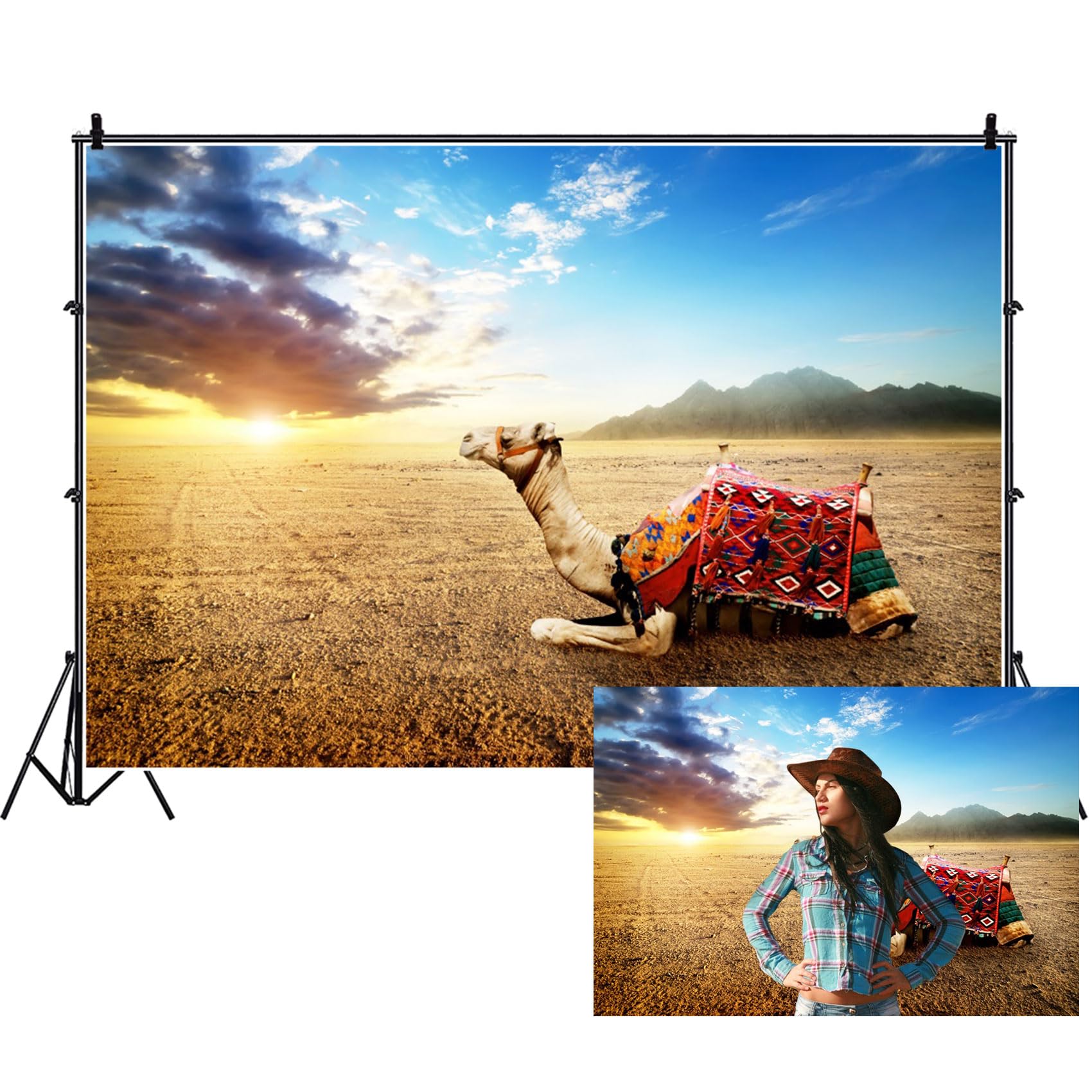 Renaiss 9x6ft Ancient Egyptian Camel Backdrop Western Desert Camel Egypt History Culture Civilization Country Blue Sky White Clouds Photography