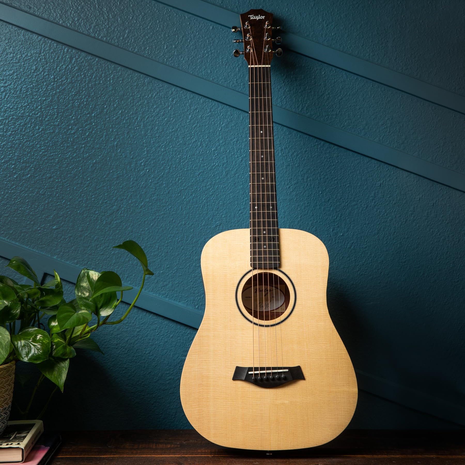 Amazon | Taylor Baby Taylor NAT | スチール弦アコースティックギター