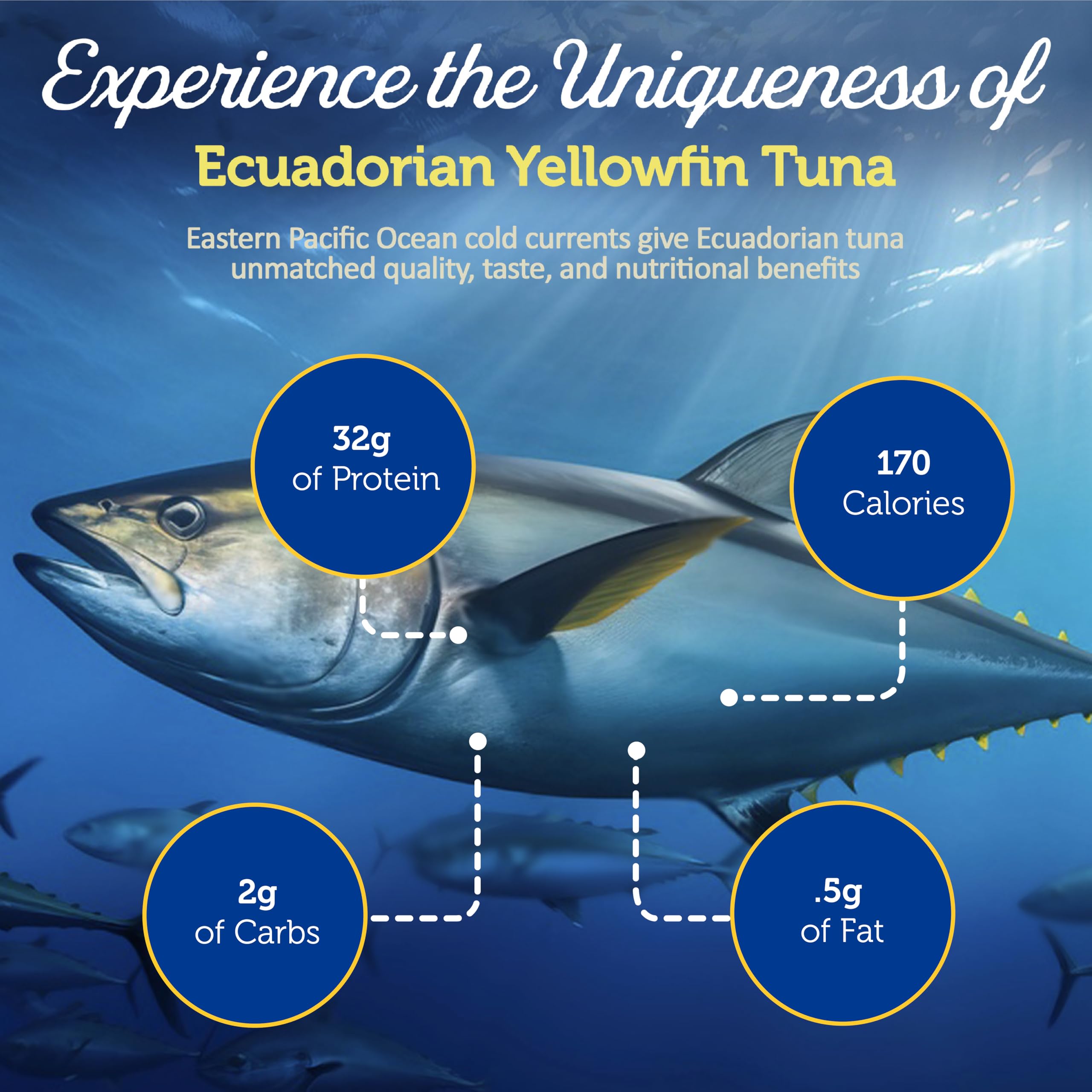 ONBOARD Yellowfin Tuna Fillets, Mediterranean Seafood Diet | Pescatarian Jarred Atun, Fresh Sea Tuna Salad | High in Protein - Healthy Ready-to-Eat Snacks, Packed in Glass Jar | (6 Packs, Spring Water)