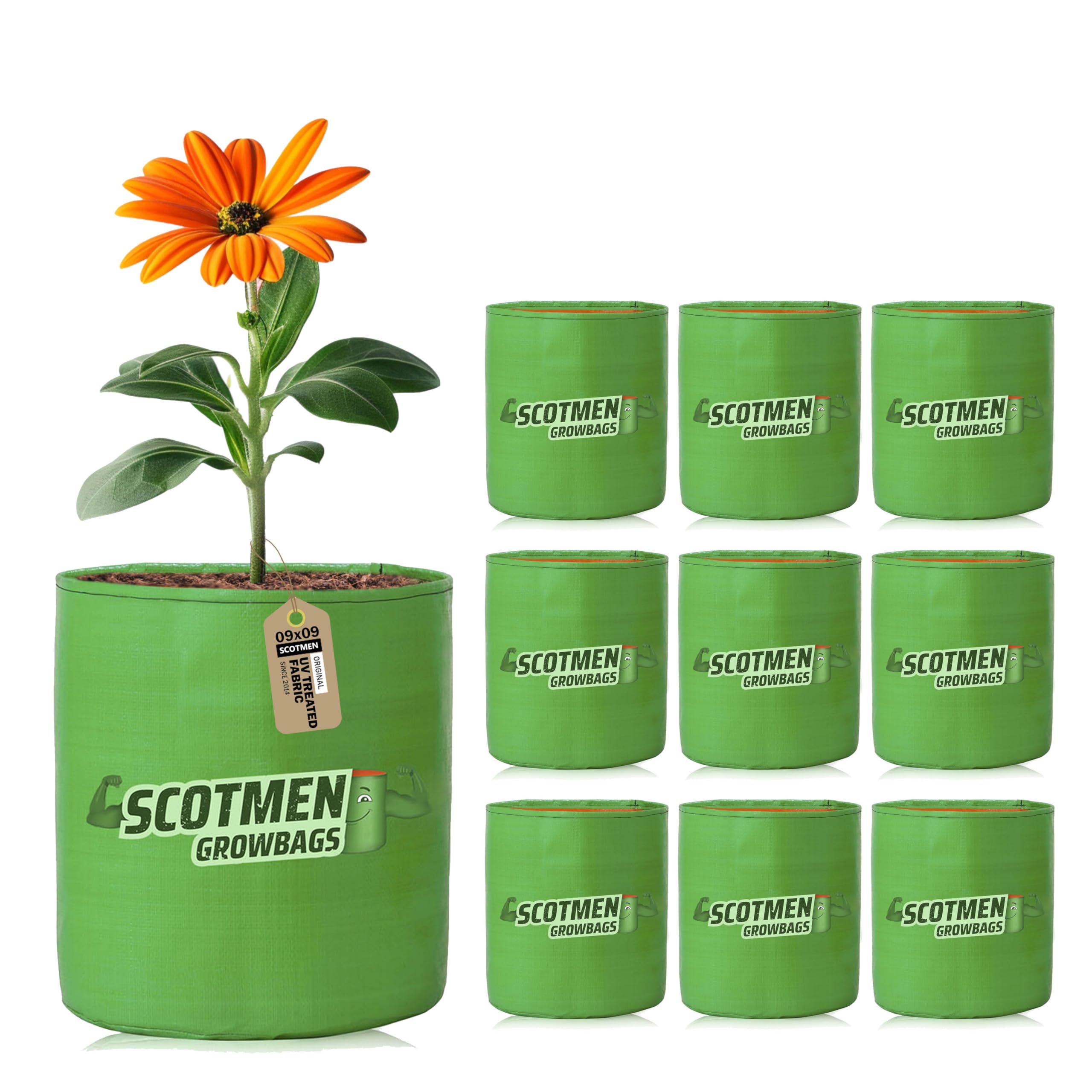 SCOTMEN HDPE UV Protected Grow Bags 9x9 inches Pack of 10 for Terrace Balcony Home Gardening Plant Growing Bags for Flowers and Vegetables (B085414TTZ) Amazon Price History, Amazon Price Tracker