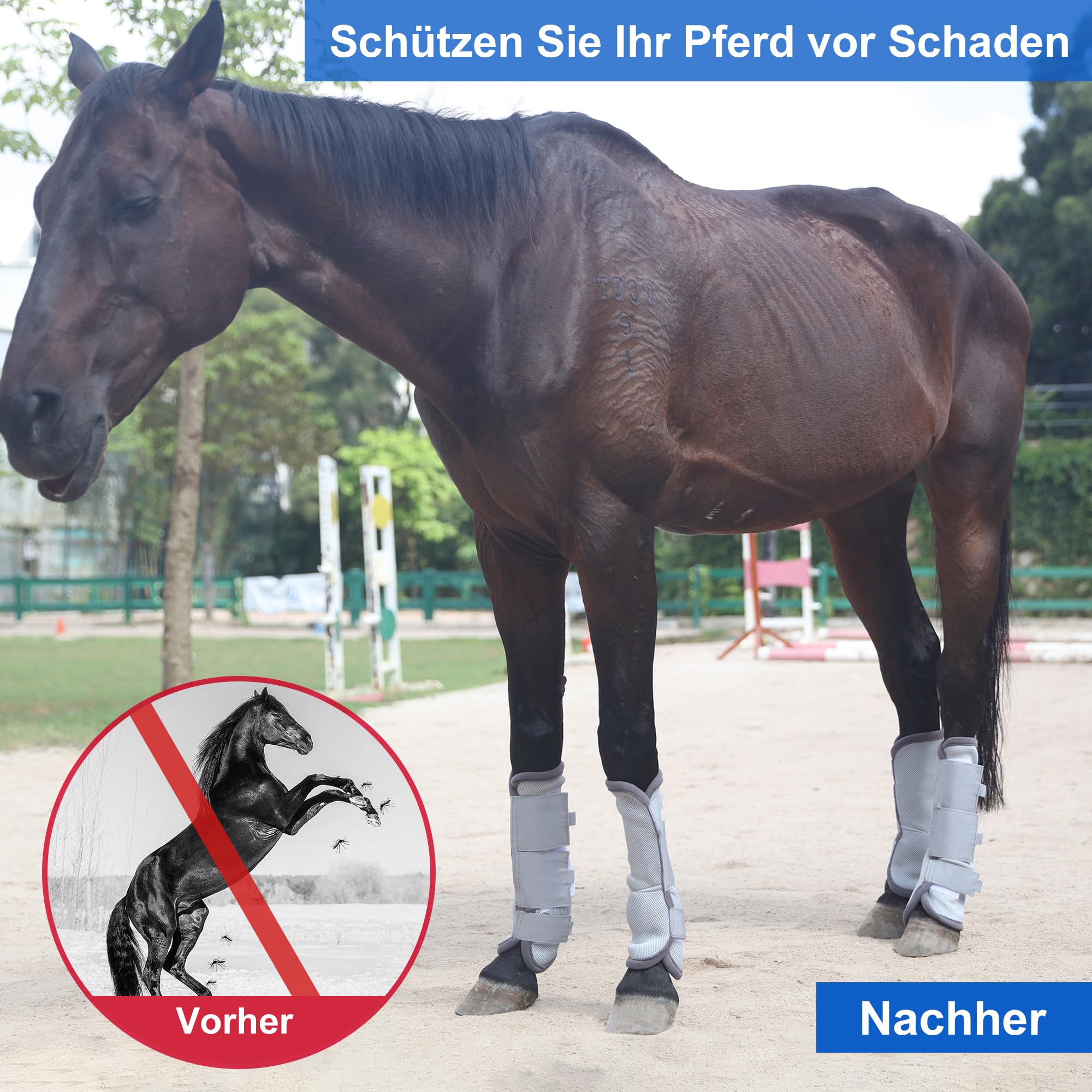 Protectores Caballo, Bota de Caballo Transpirable, con Funciones de protección y Soporte, Protección contra los Rayos UV