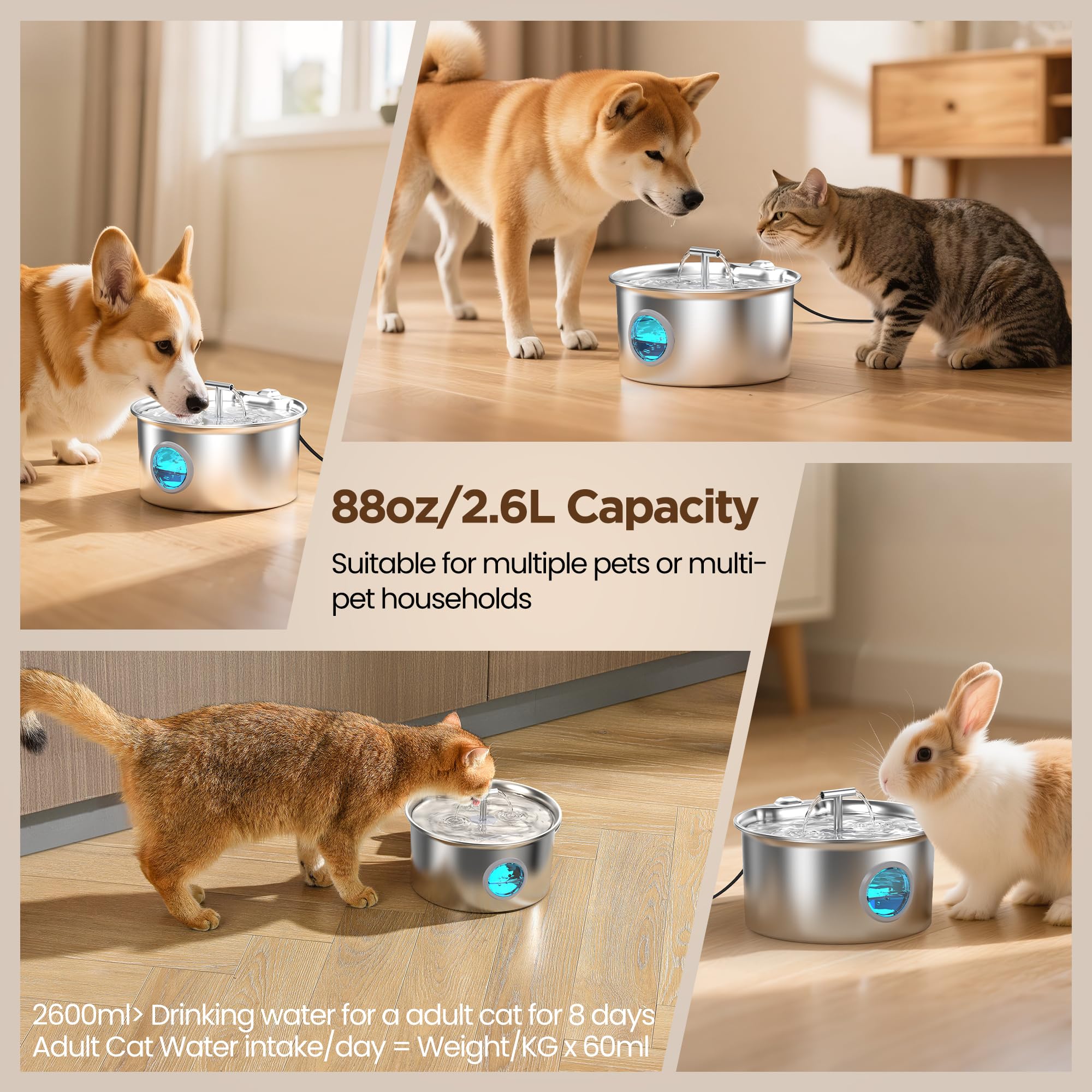 Fontanella Per Gatti Acciaio Inox: 2.6L Fontana per Gatto - Automatico Fontanella Gatto - Super Silenzioso Dispenser Acqua Gatti - 6 filtri a carbone e 3 filtri a schiuma