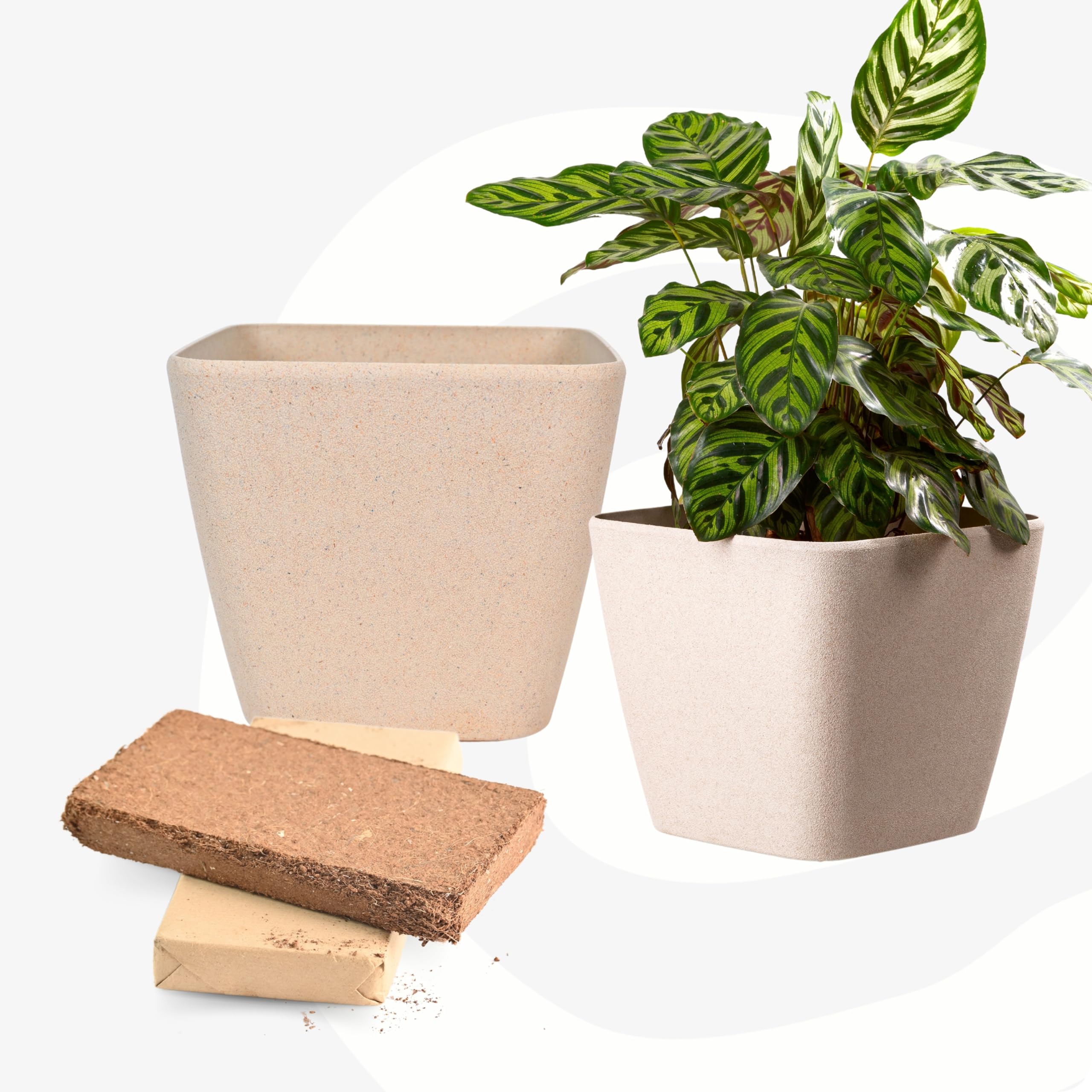 Eha Set of 2 Earth-Friendly Daisy 7" Self-Watering pots and Planters with Cocopeat (400gm x2) | Bamboo Based | UV Protected | for Indoor, Home DAISYr, Outdoor, Balcony & Garden | Sand Castle