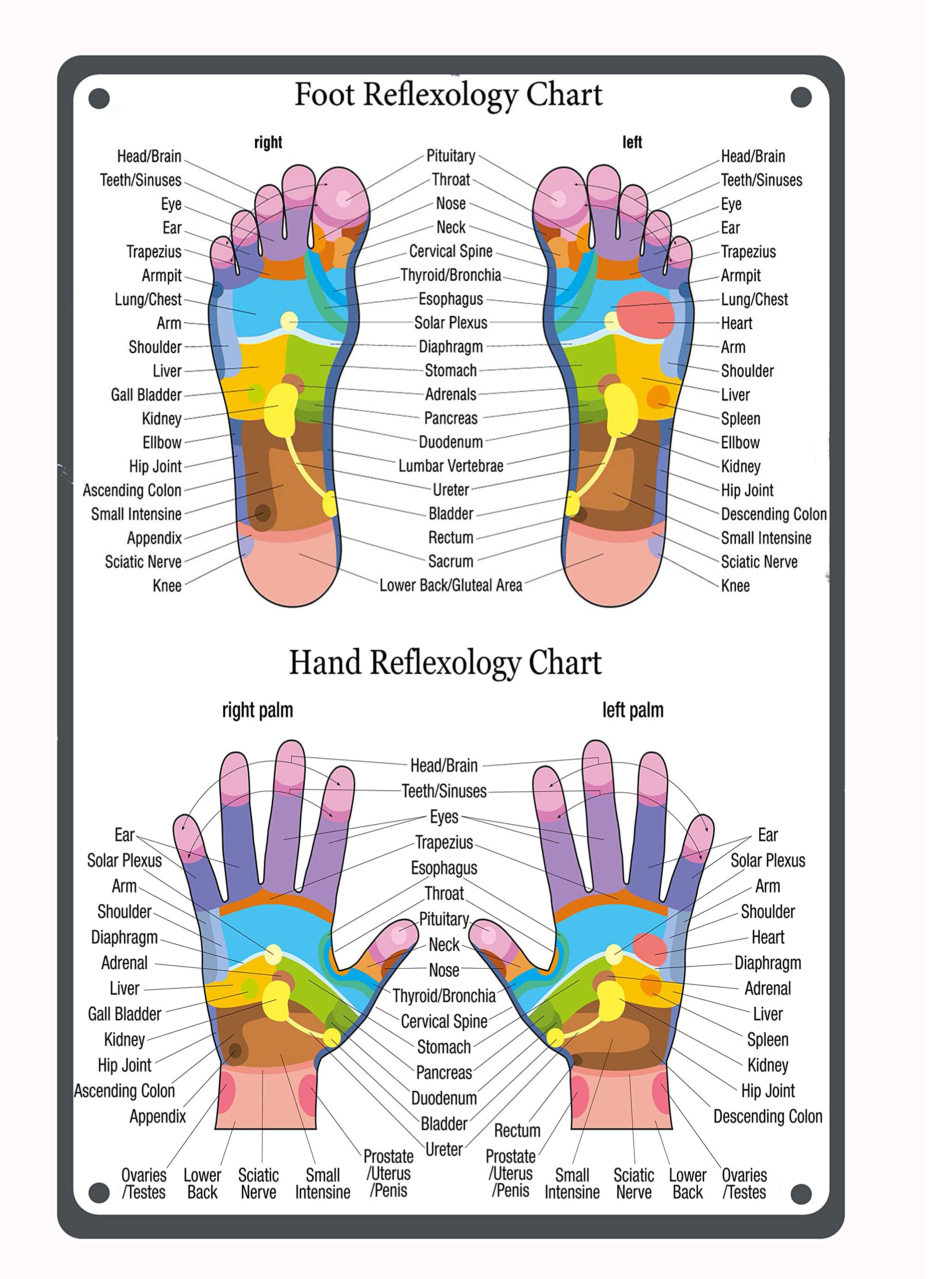 Kwqdozf As Pic Vintage Metal Tin Sign Reflexology Wall Art For Home Kitchen, 8X12 Inch