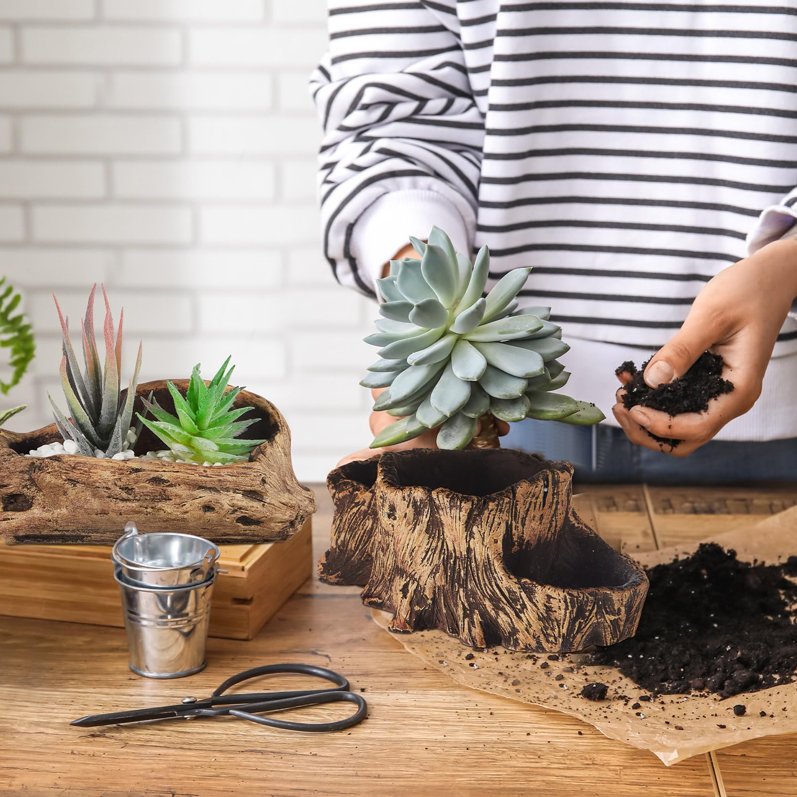 Amazon.com: Sunnychicc 3 Pcs Driftwood Stump Log Concrete Planter Driftwood  Planter Succulent Pot Plant Pot for Succulents for Outdoor Indoor Home  Patio Garden Decoration (Retro) : Patio, Lawn & Garden