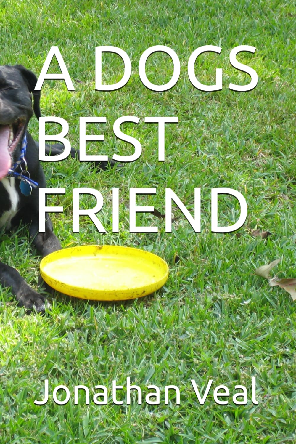 A DOGS BEST FRIEND