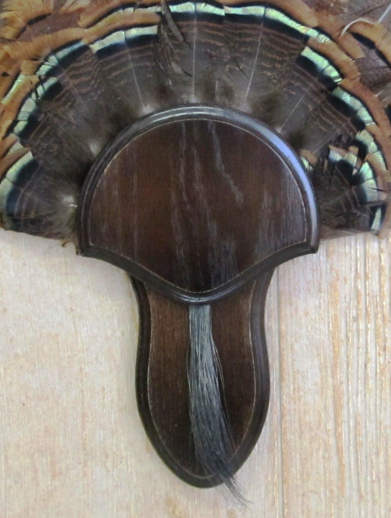 Amazon.com: The Taxidermists Woodshop Medium Oak Carved Turkey Mounting ...